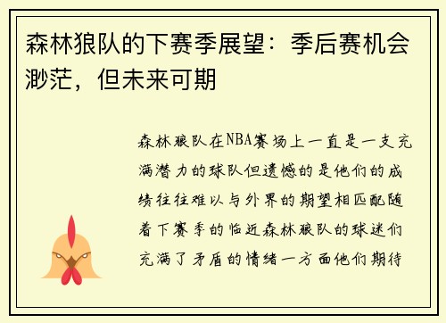 森林狼队的下赛季展望：季后赛机会渺茫，但未来可期